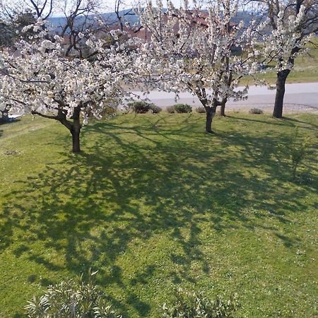 Apartament Daal Roč Zewnętrze zdjęcie