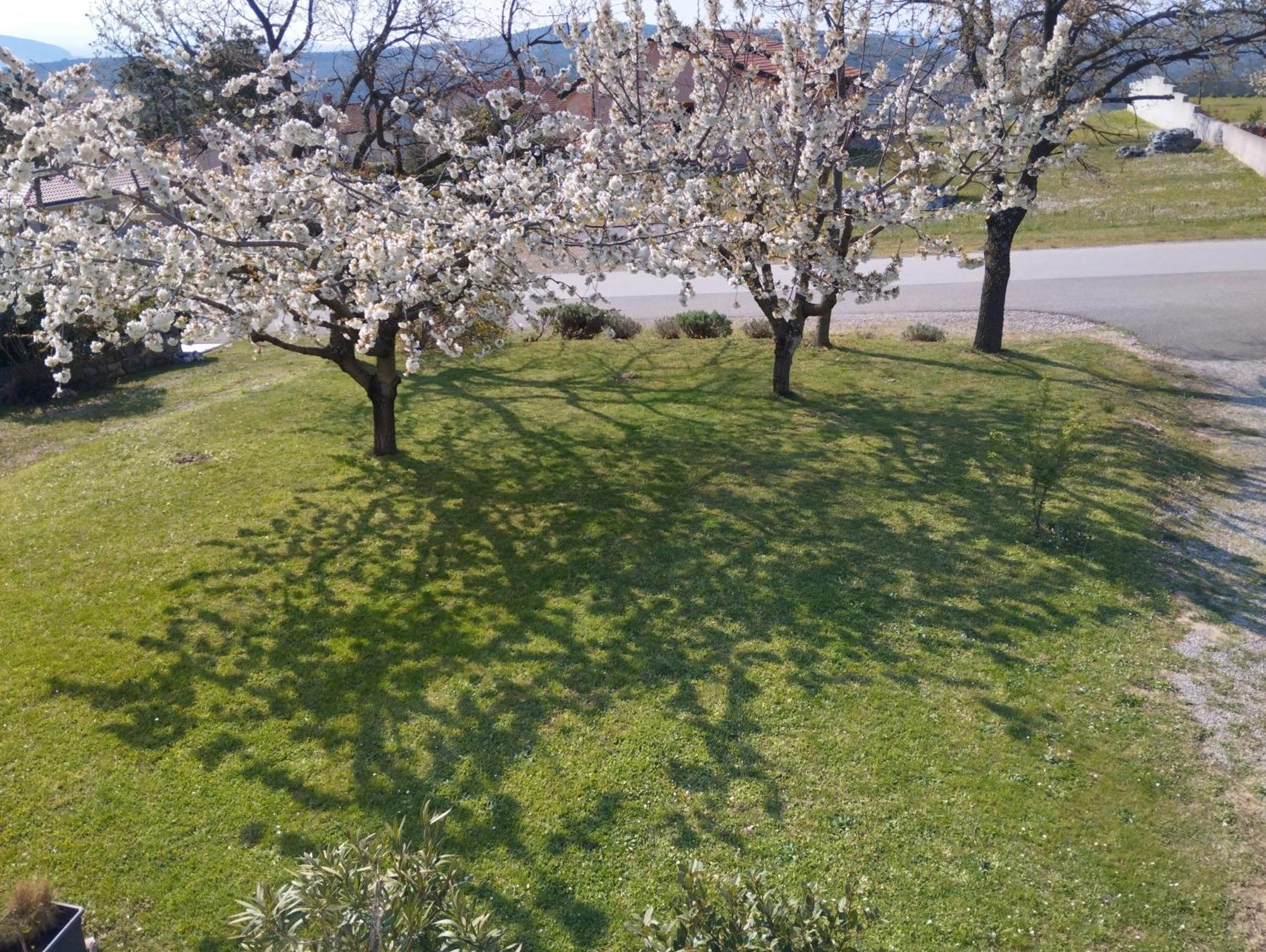 Apartament Daal Roč Zewnętrze zdjęcie